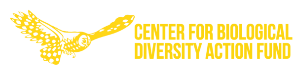 Center Action Fund Logo_yellow full